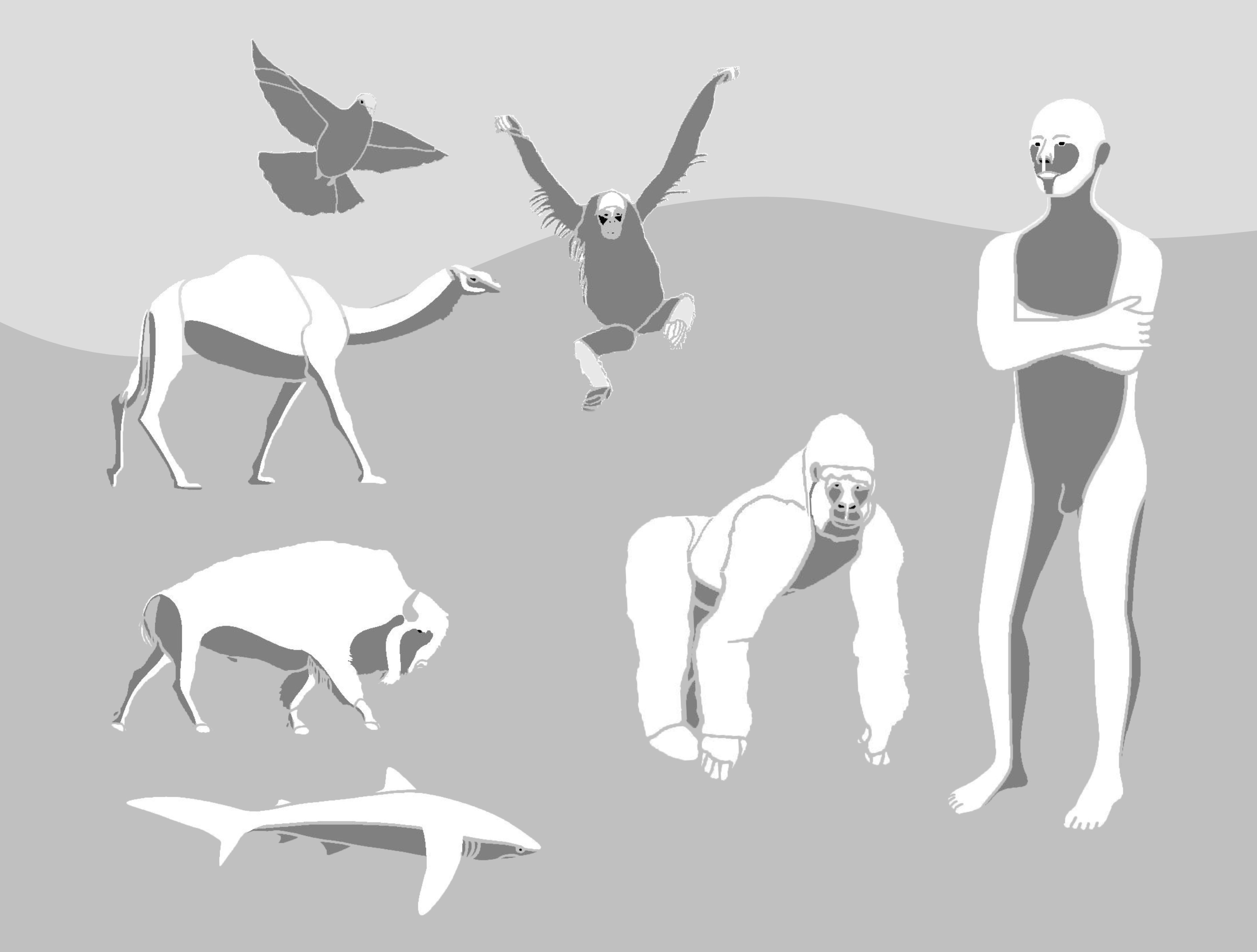 PRI evolutionary body awareness illustration